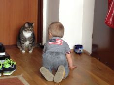 kot-patrzy-dziecko